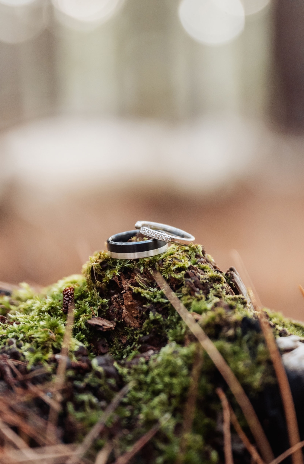 kuitpo forest metal themed wedding – erin & michael 1 Wedding rings on mossy forest floor with rustic woodland bokeh.