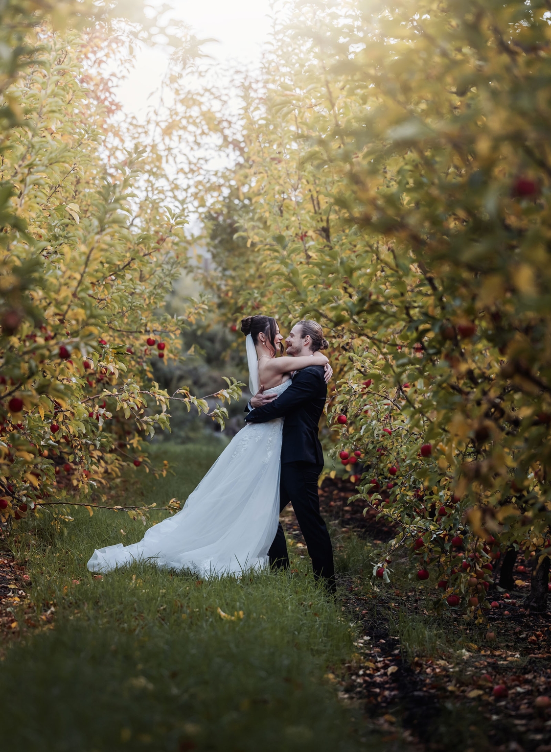 the manor wedding - crystal & mackenzie 80 Romantic apple orchard wedding portrait of bride and groom embracing in autumn sunlight.