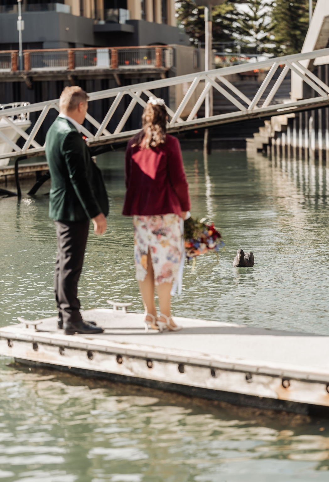 sa marriage office wedding – melissa & kyran 217 Wedding couple on waterfront dock watching black swan near urban marina.