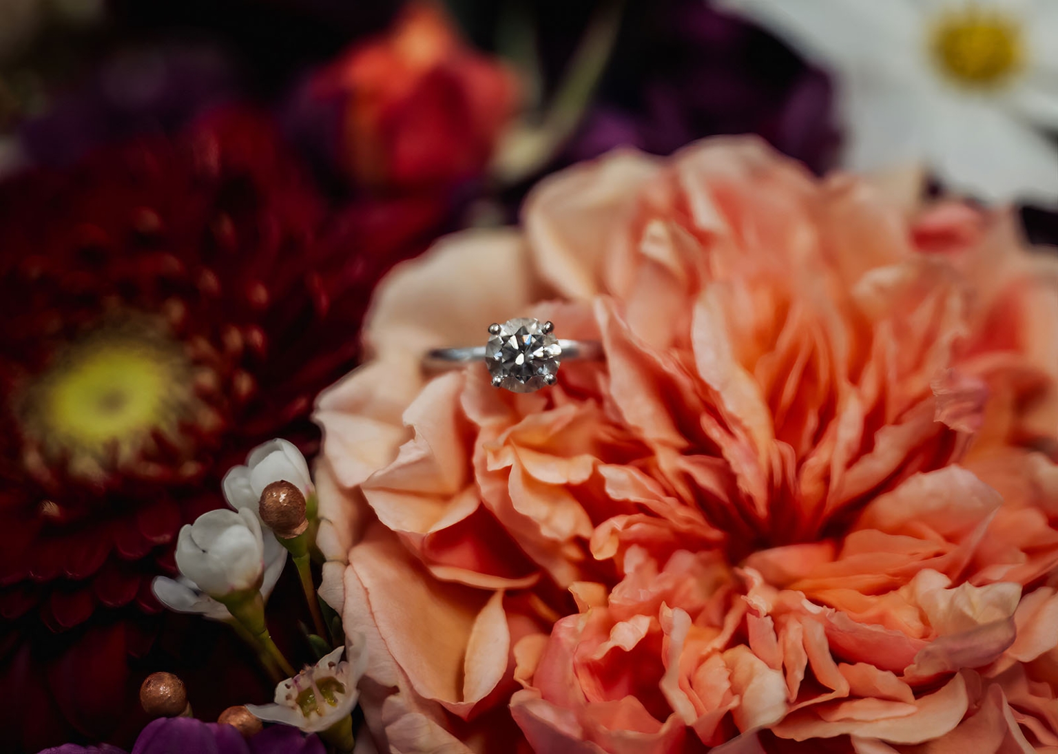 sa marriage office wedding – melissa & kyran 194 Diamond engagement ring nestled in peach wedding flowers.