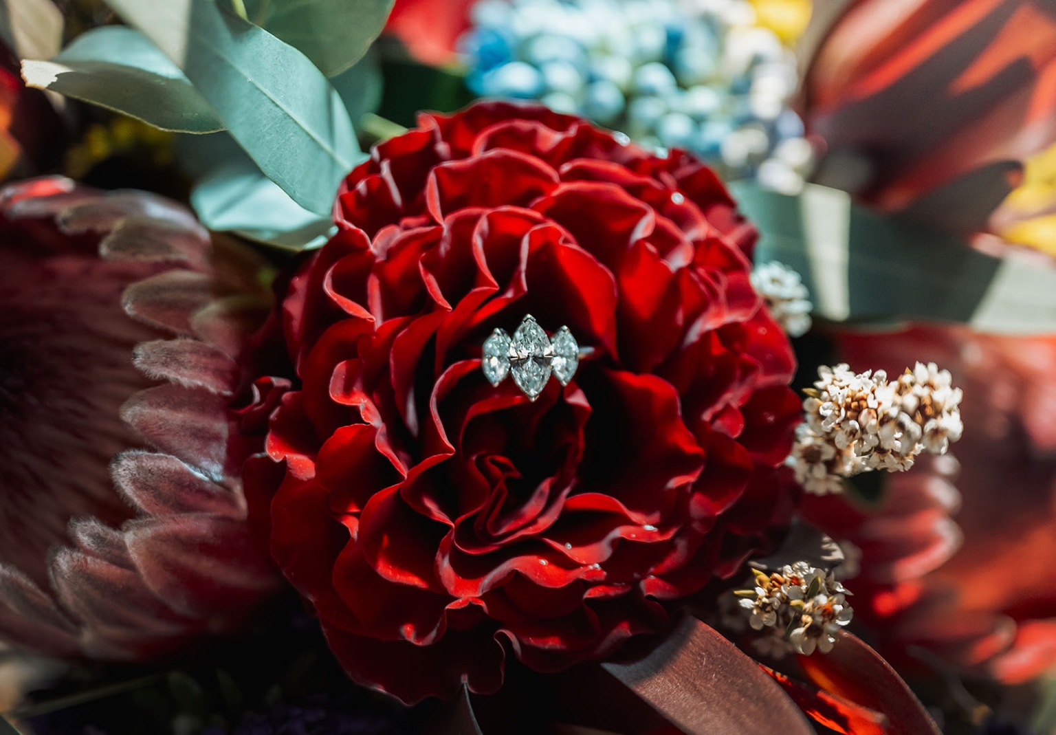 basket range wedding at the manor - leah & wes 6 Diamond engagement ring on a crimson red rose with romantic wedding flowers.
