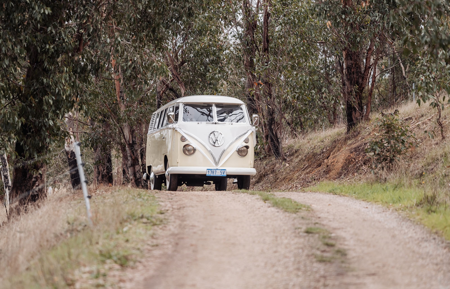 tiny house on the prairie wedding - lauren & bek 11 Vintage Volkswagen microbus driving down a rustic forest dirt road.