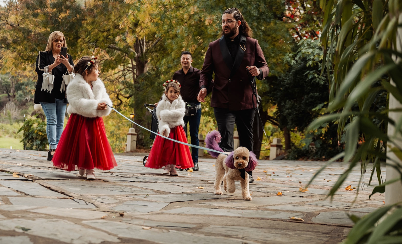 basket range wedding at the manor - leah & wes 37 Flower girls escort purple-eared wedding dog on garden path.