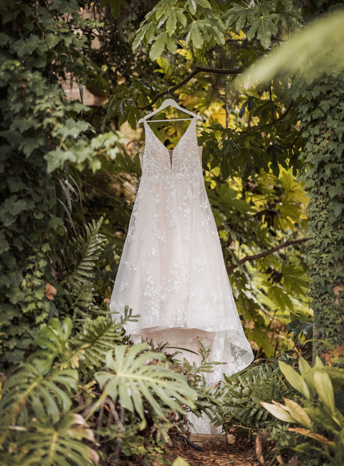 basket range wedding at the manor - leah & wes 3 Ivory lace bridal wedding dress hanging in lush garden greenery.