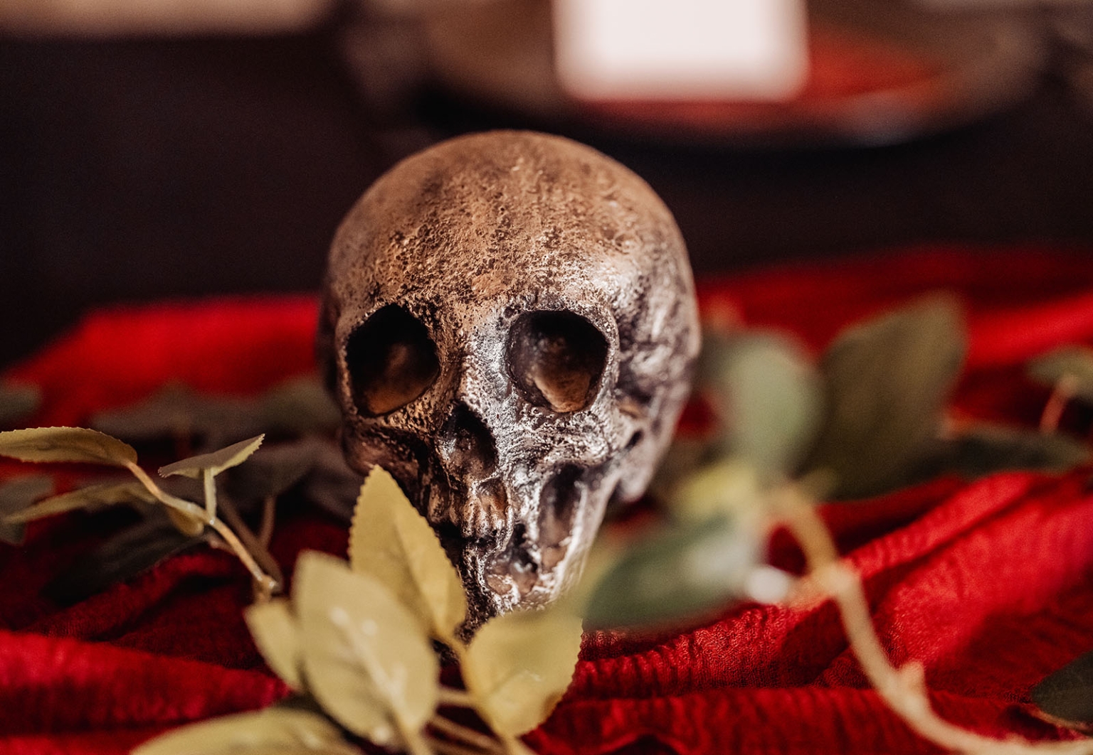kuitpo hall wedding - courtney & jarrod 220 Aged skull on red velvet fabric with gothic leaves and moody candlelight.