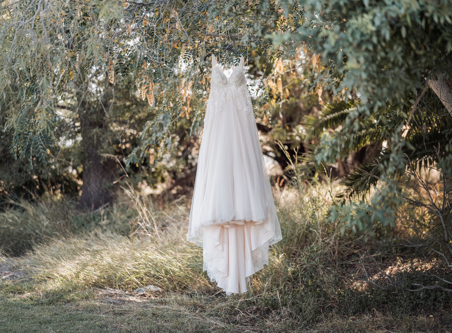 capella wedding photography – caitlin & adam’s farm wedding 122 Caitlin's lace bodice wedding dress hanging from a tree branch at the farm