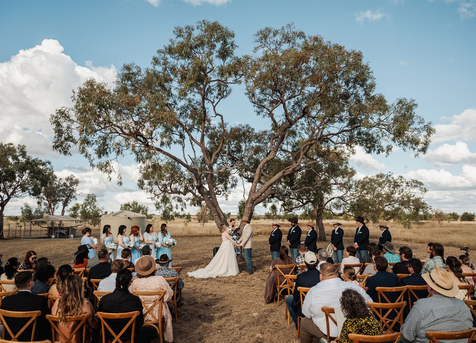 capella wedding photography – caitlin & adam’s farm wedding 141 Caitlin and Adam exchanging vows beneath large gum trees at their Capella farm wedding ceremony, surrounded by guests and their wedding party.