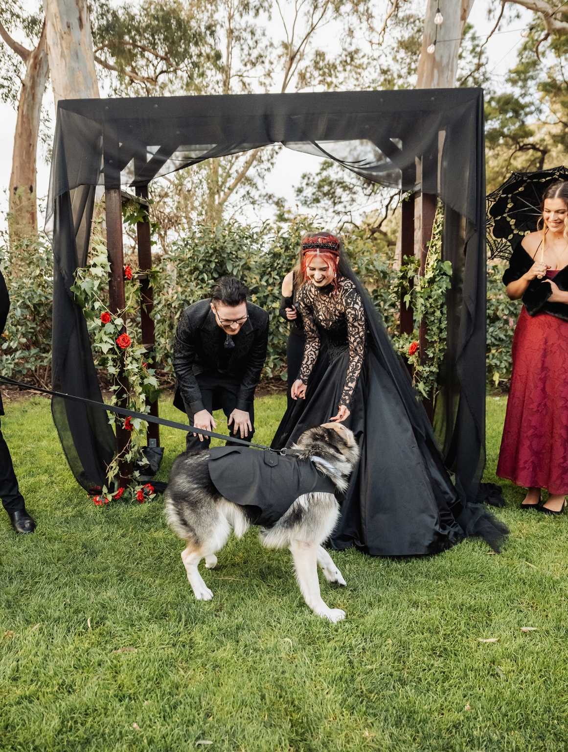 kuitpo hall wedding - courtney & jarrod 230 Gothic wedding couple smiles with costumed husky under black floral arch.