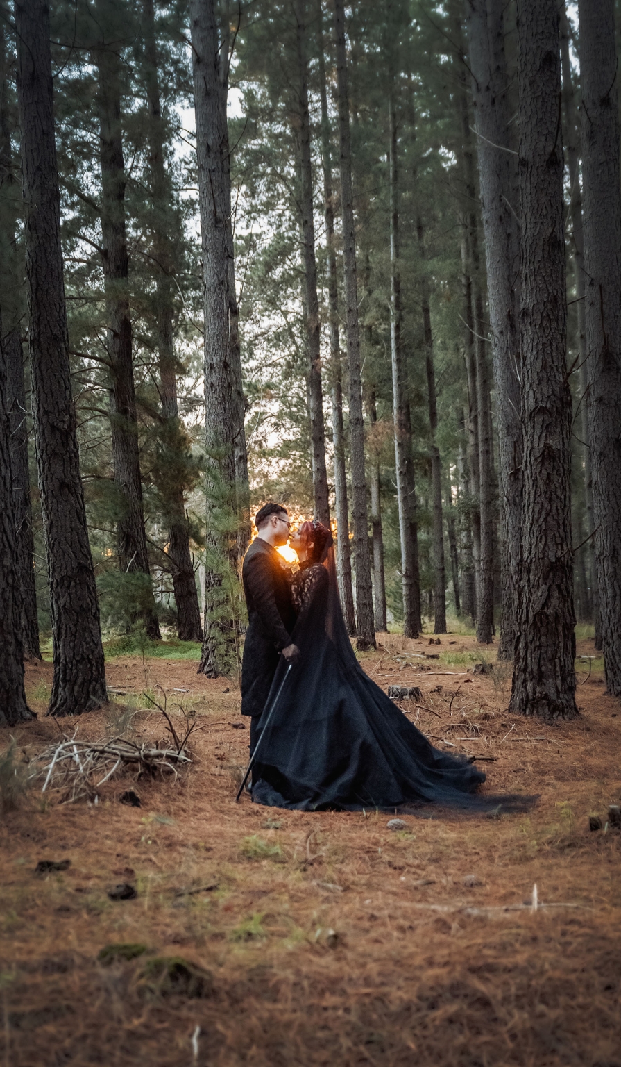 kuitpo hall wedding - courtney & jarrod 248 Romantic couple portrait in a pine forest at sunset with elegant black attire.