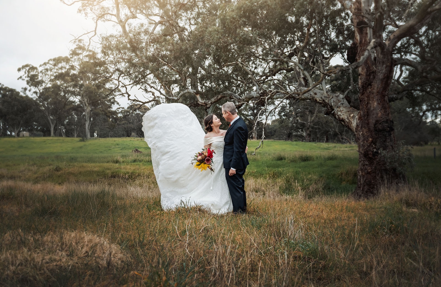 keyneton soldier's memorial hall wedding - lara & simon 39 Lara and Simon standing beneath a large eucalyptus tree in a grassy field, with Lara’s long white veil billowing behind her