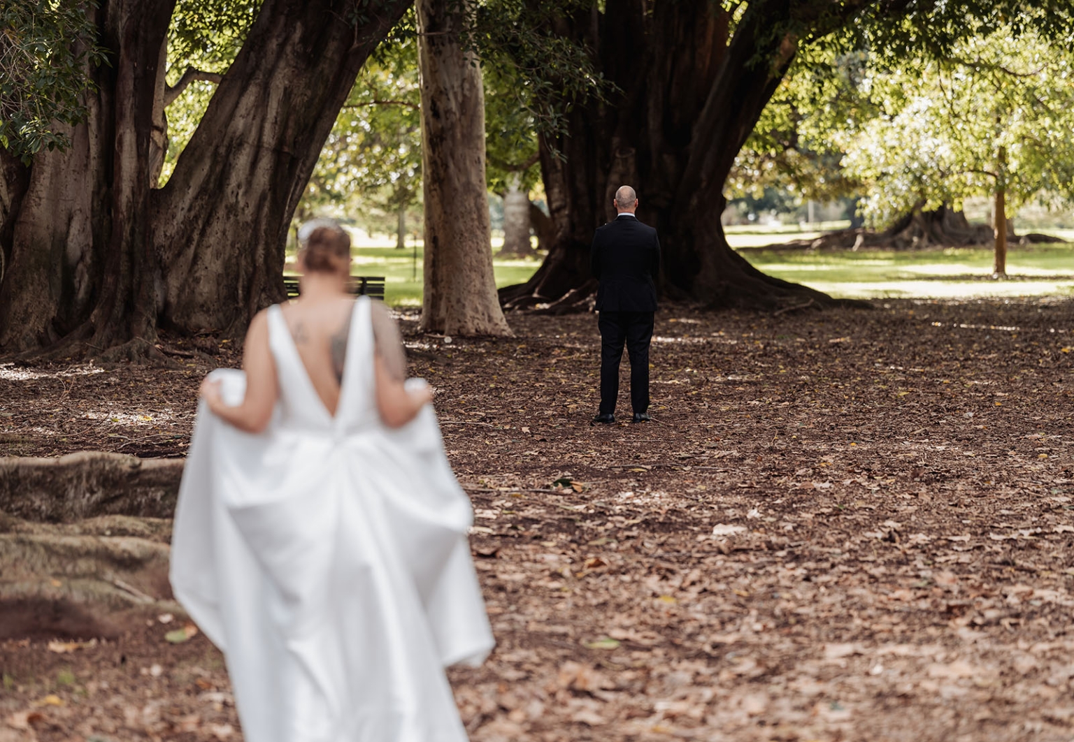 marriage registration office wedding - mia & roberto 49 Mia in a white wedding dress approaches Roberto for their first look beneath Moreton Bay fig trees in Adelaide Botanic Park.