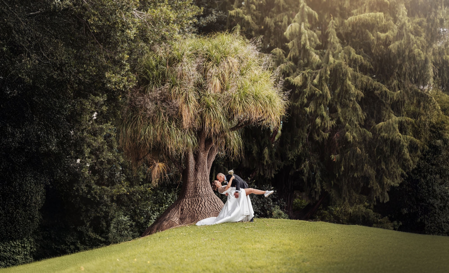 marriage registration office wedding - mia & roberto 71 Roberto dips Mia for a kiss beneath a large tree on a grassy slope in Adelaide Botanic Park