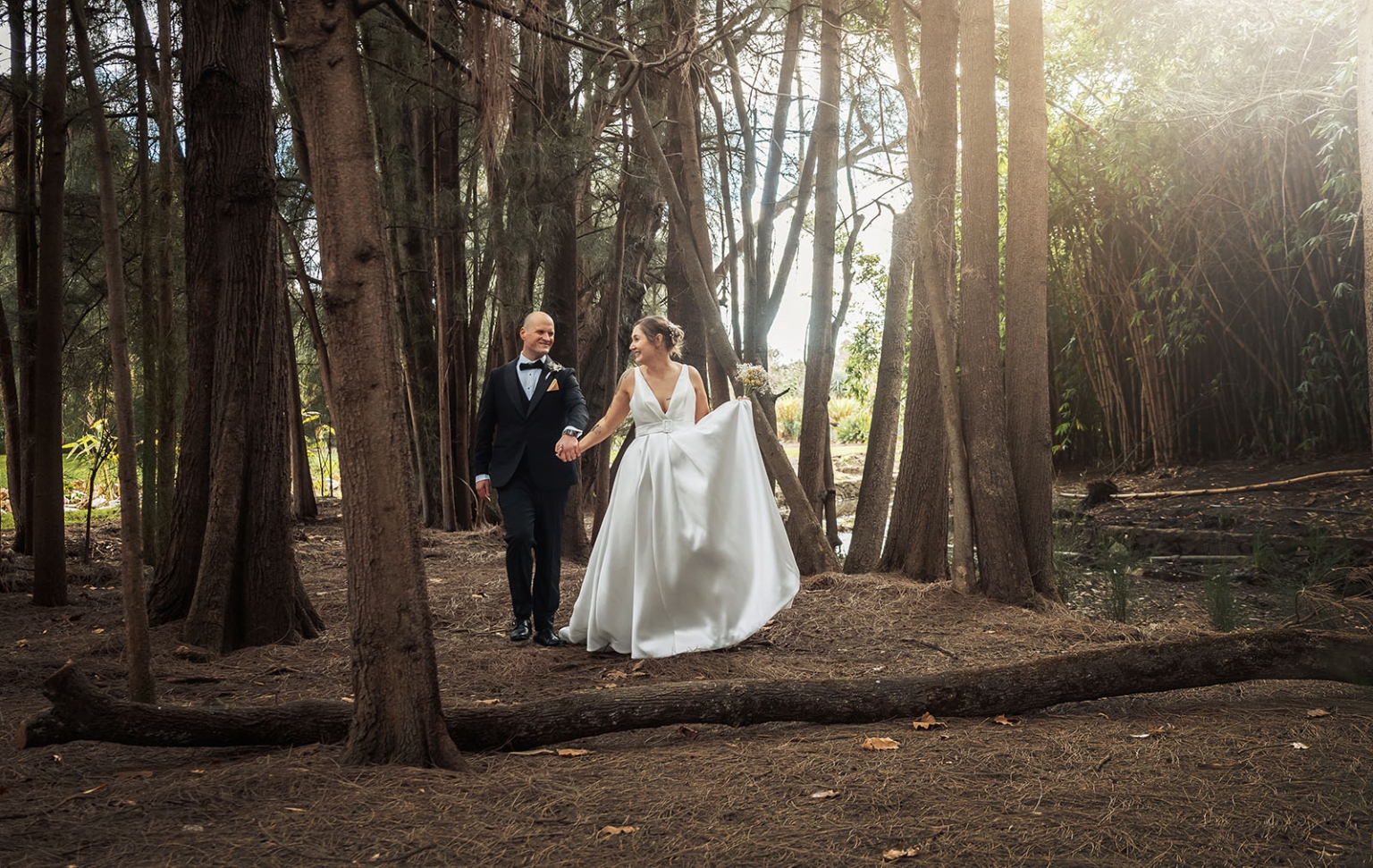 marriage registration office wedding - mia & roberto 82 Mia and Roberto walking hand in hand through sunlit trees in Adelaide Botanic Park after their wedding