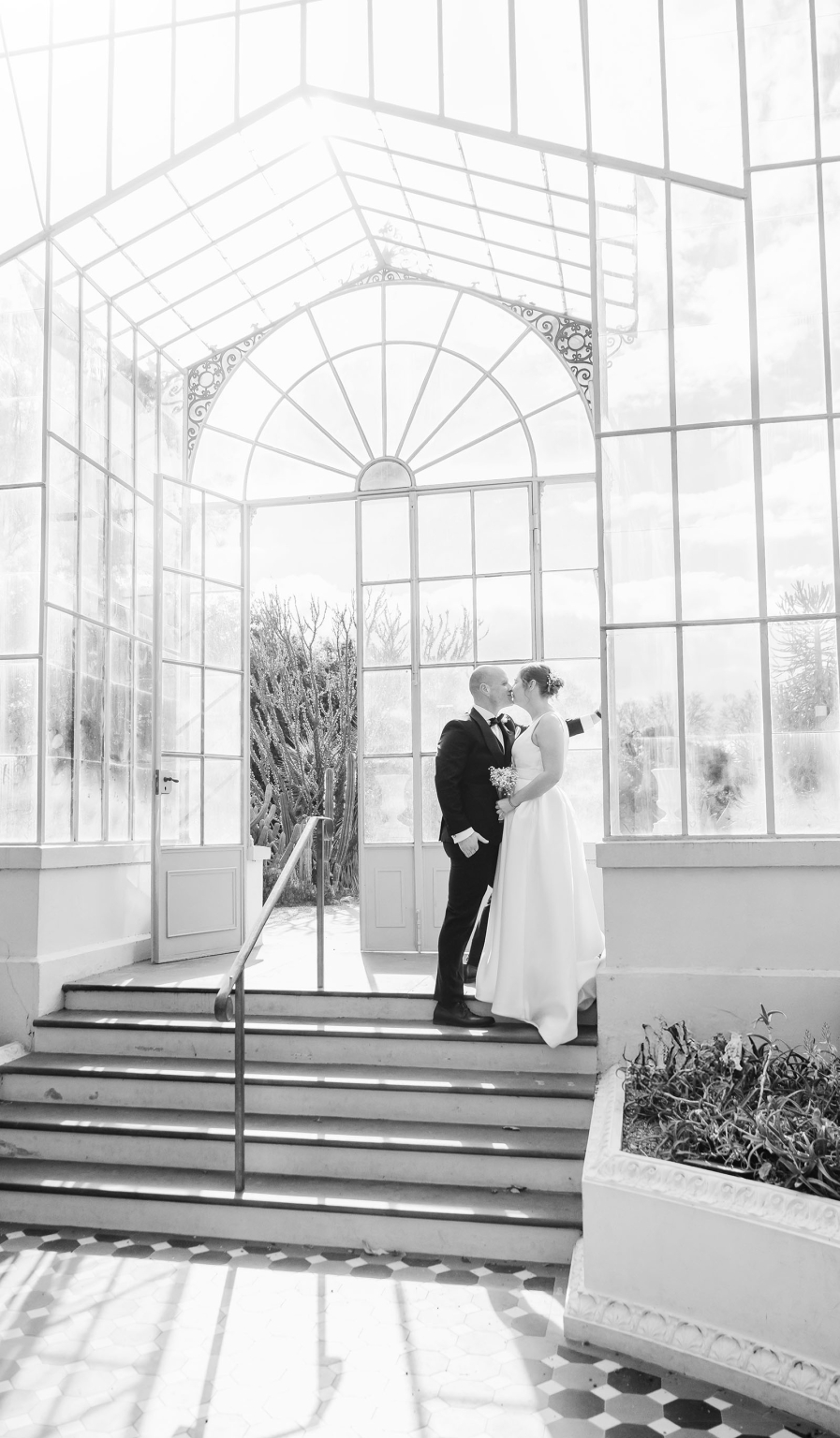 marriage registration office wedding - mia & roberto 69 Mia and Roberto kissing on steps inside a glasshouse at Adelaide Botanic Gardens