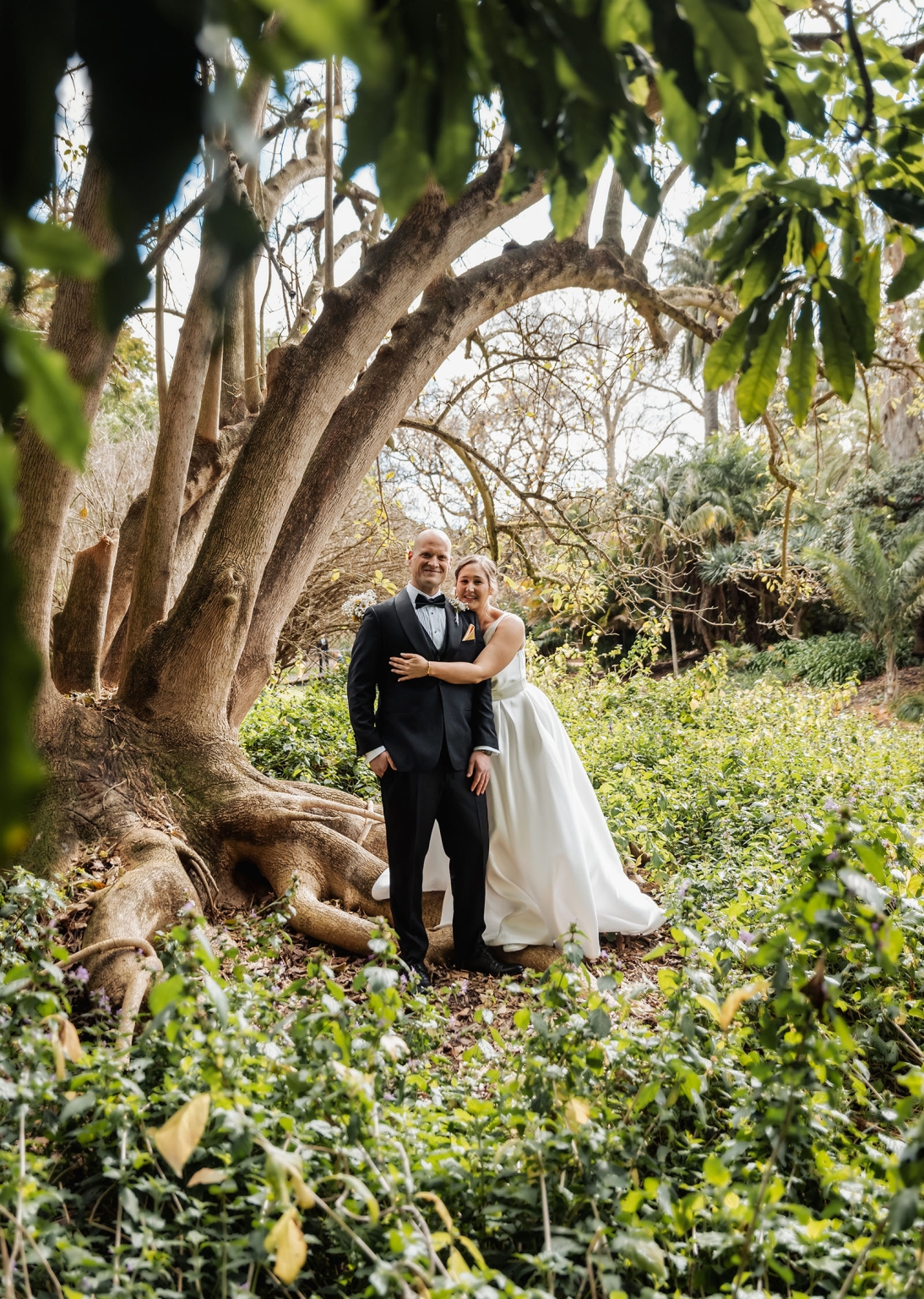 marriage registration office wedding - mia & roberto 64 Mia and Roberto standing beside the sprawling roots of a Moreton Bay fig tree in Adelaide Botanic Park