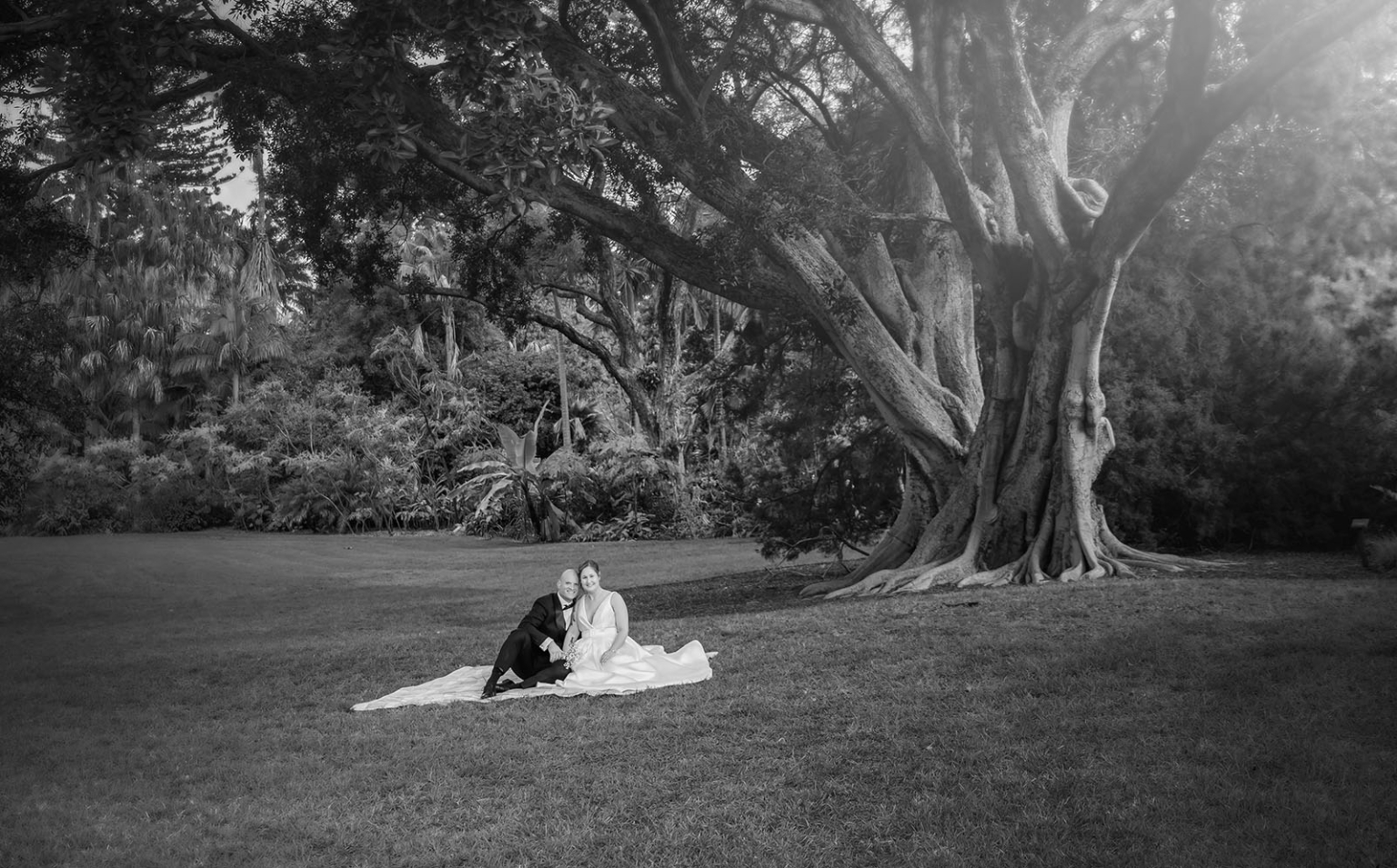 marriage registration office wedding - mia & roberto 79 Mia and Roberto seated on the lawn beneath a sprawling Moreton Bay fig tree in Adelaide Botanic Park