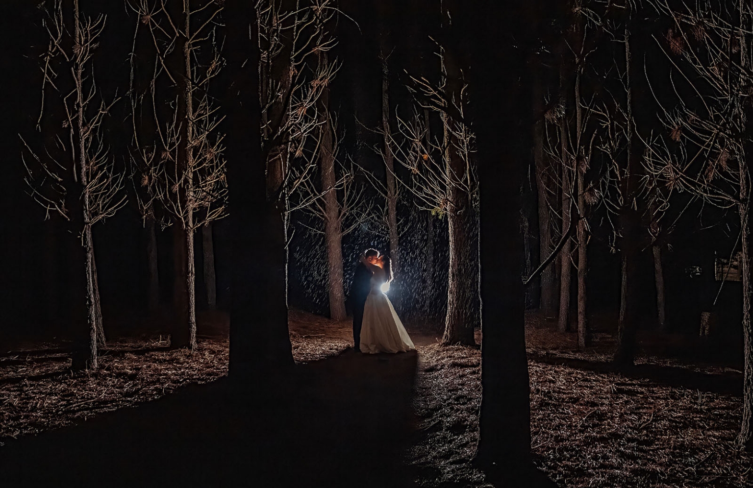 Bride and groom kissing beneath tall trees at night, backlit by a bright light and falling rain.
