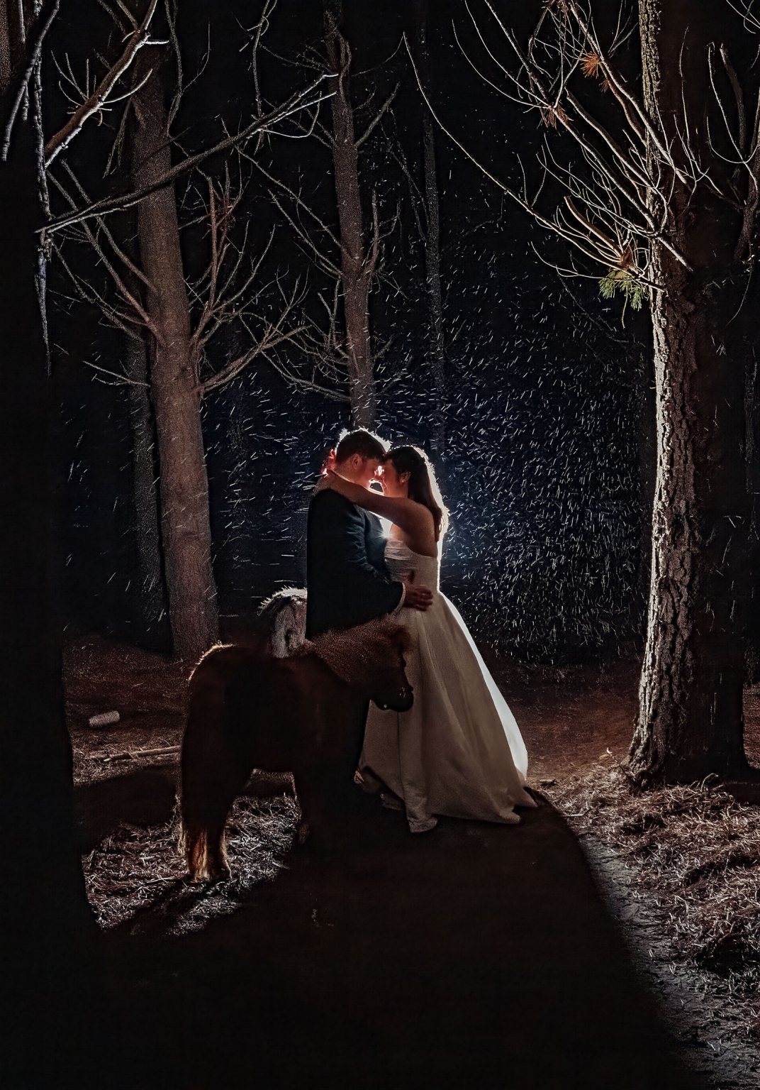 Bride and groom embracing beneath rain-lit trees at night beside a shaggy Highland cow at Barristers Block