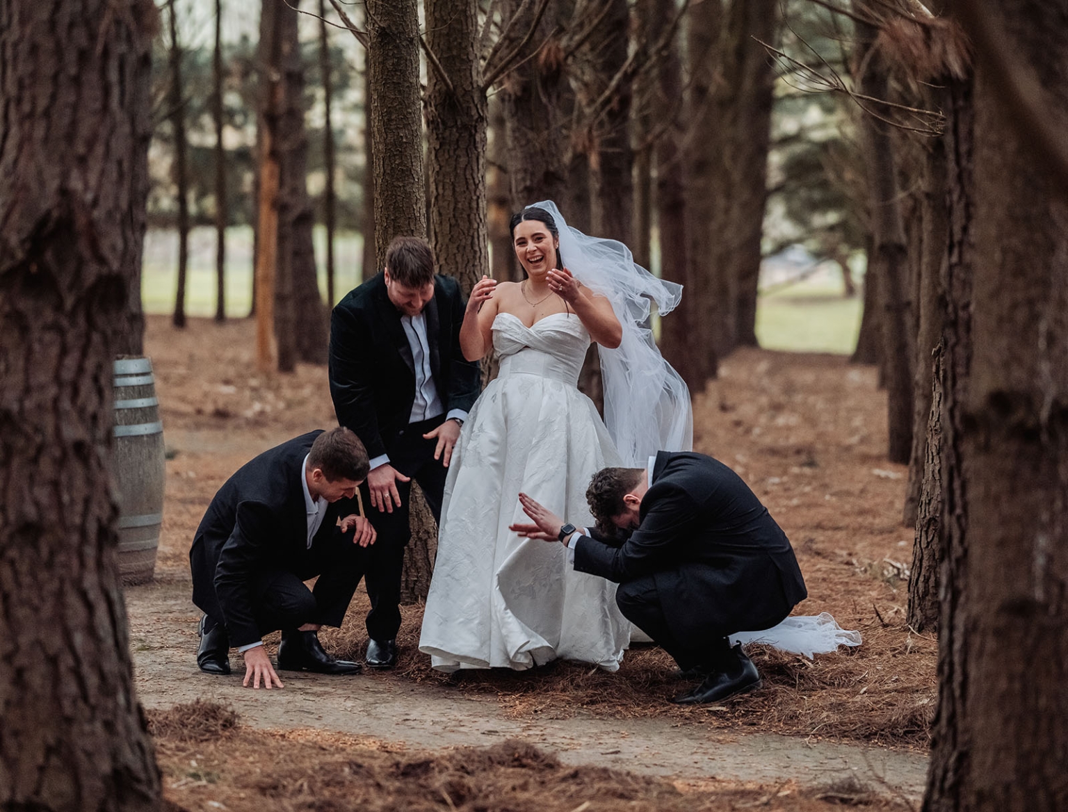 Laughing bride in a white gown and veil stands among pine trees as three groomsmen crouch playfully around her.