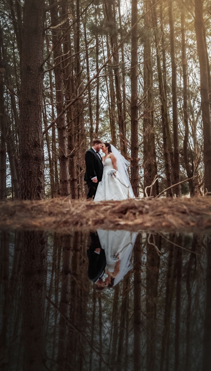 Carley and Corey standing close together in wedding attire among tall trees, reflected in a puddle