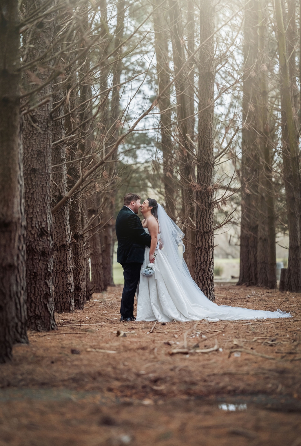 Bride and groom embracing among tall trees, with the bride’s long veil and gown train spread across the forest floor.