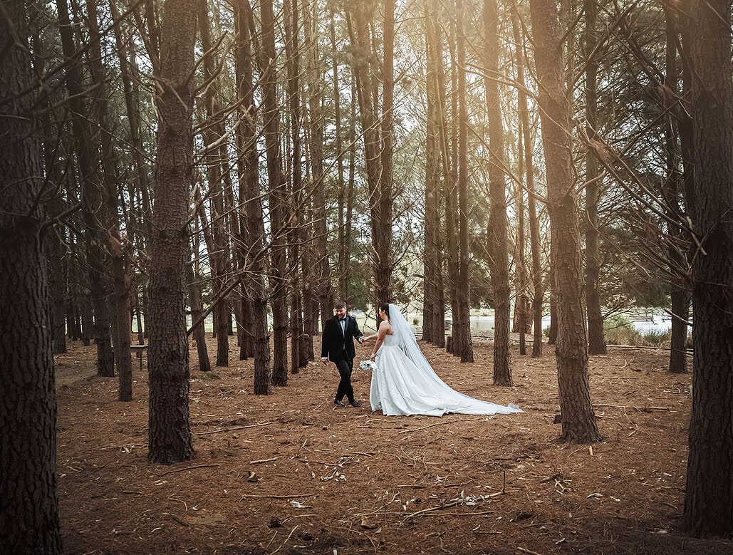 barristers block wedding - carly & corey 71 Carley and Corey walking hand in hand among tall pine trees at Barristers Block