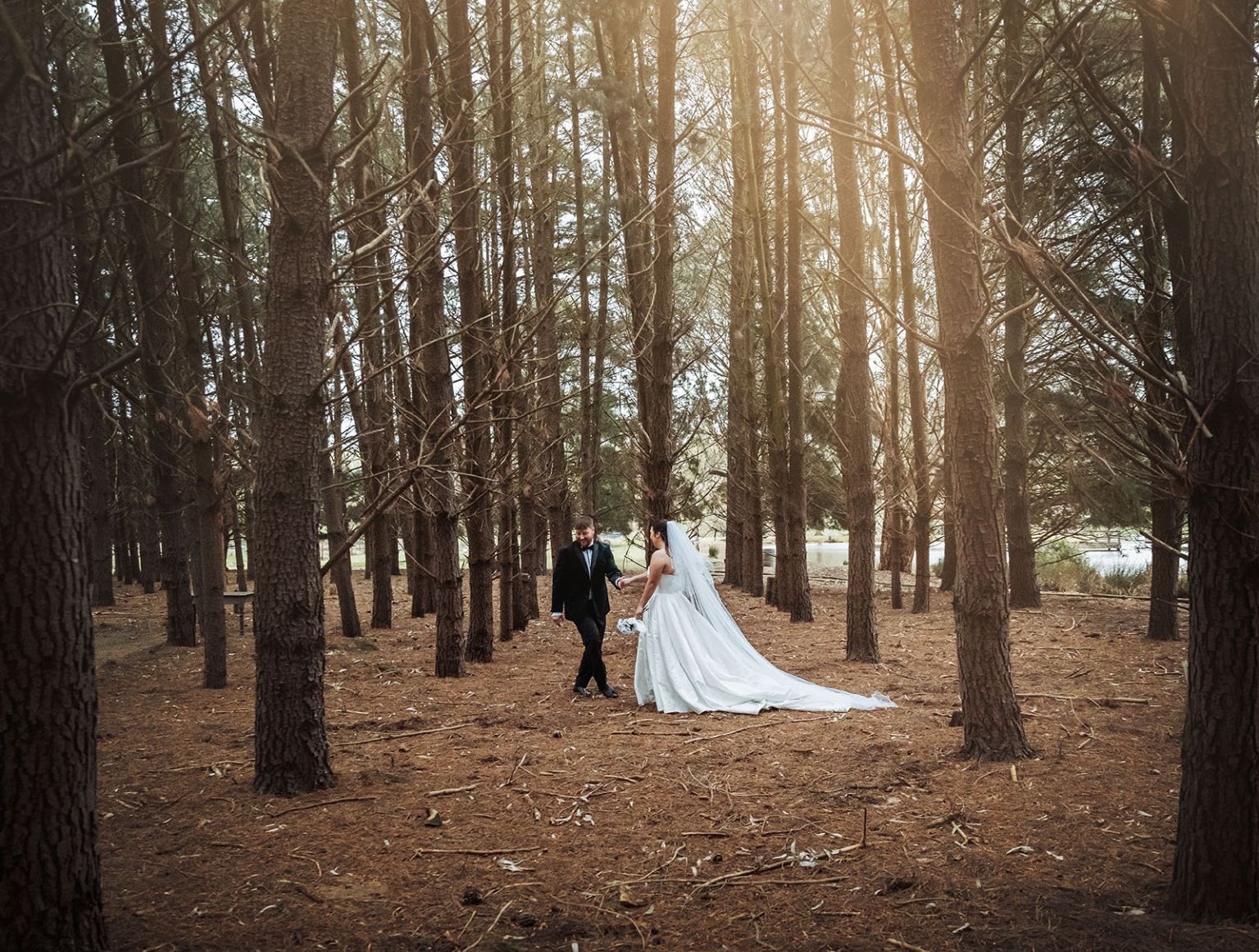 Carley and Corey walking hand in hand among tall pine trees at Barristers Block
