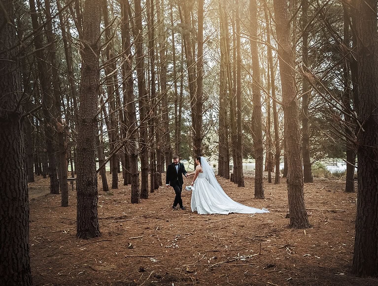 barristers block wedding - carly & corey 1 Carley and Corey walking hand in hand among tall pine trees at Barristers Block