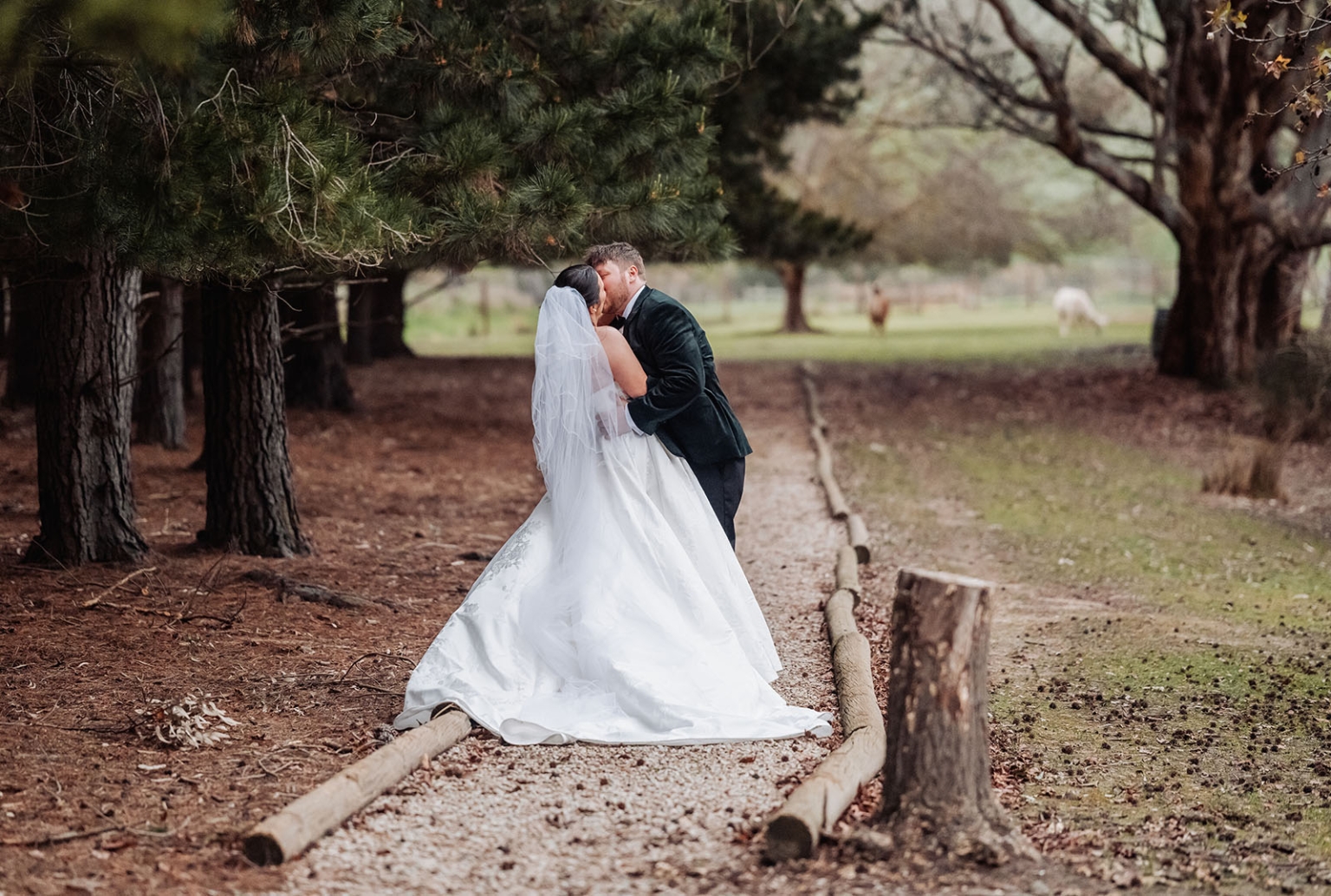 Bride and groom kissing on a gravel path beneath tall trees at Barristers Block