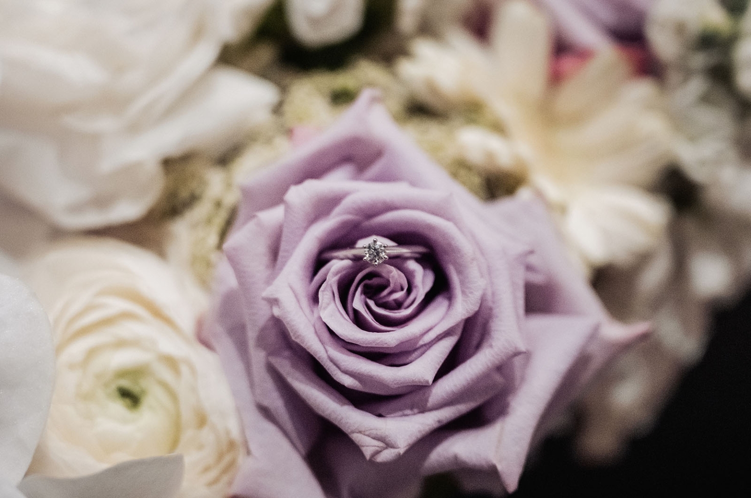 marriage rego office wedding – teri & thomas 13 Diamond engagement ring resting on a purple rose among cream flowers
