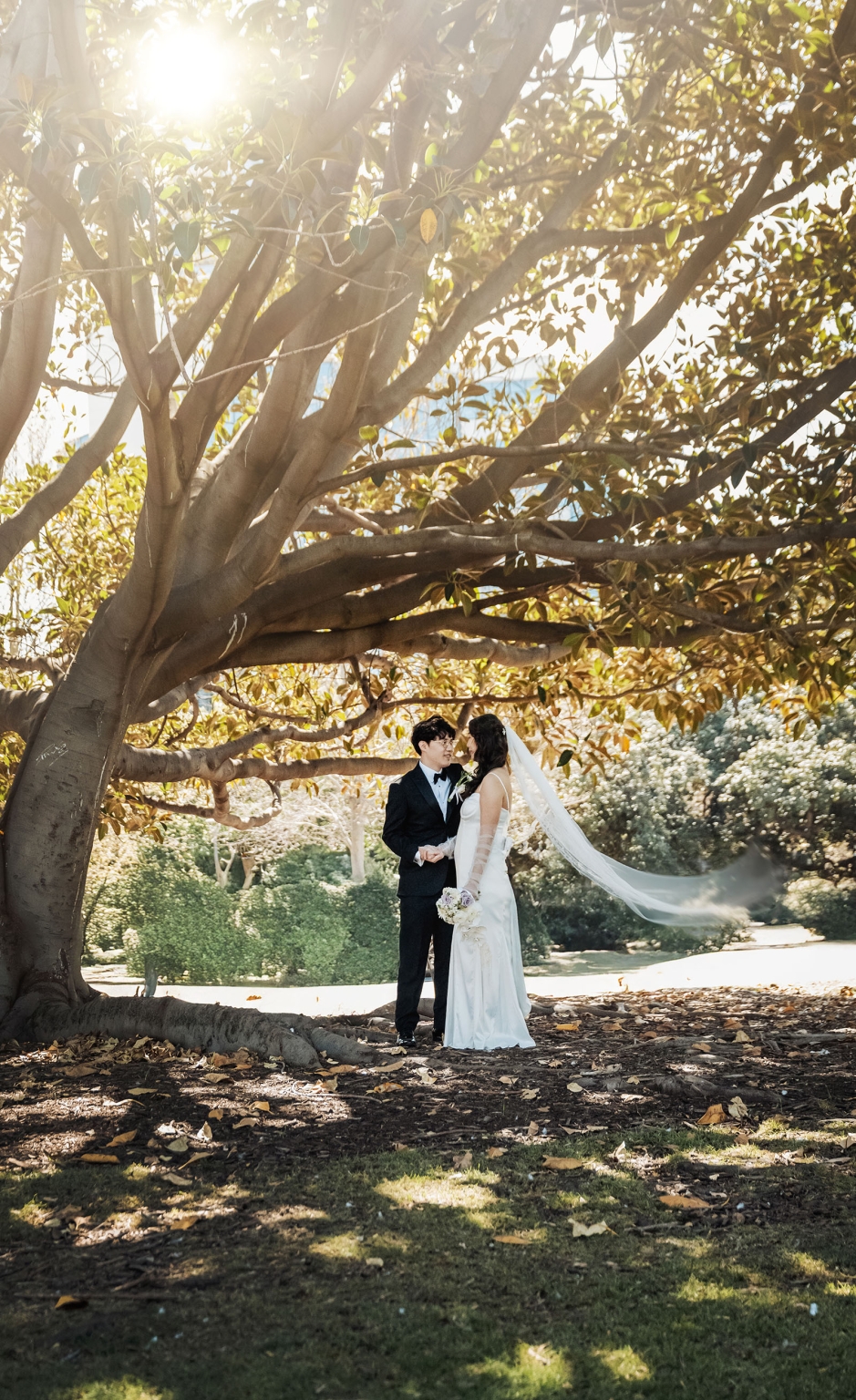 marriage rego office wedding – teri & thomas 26 Teri and Thomas holding hands beneath a large sunlit tree, with Teri’s veil flowing behind her.