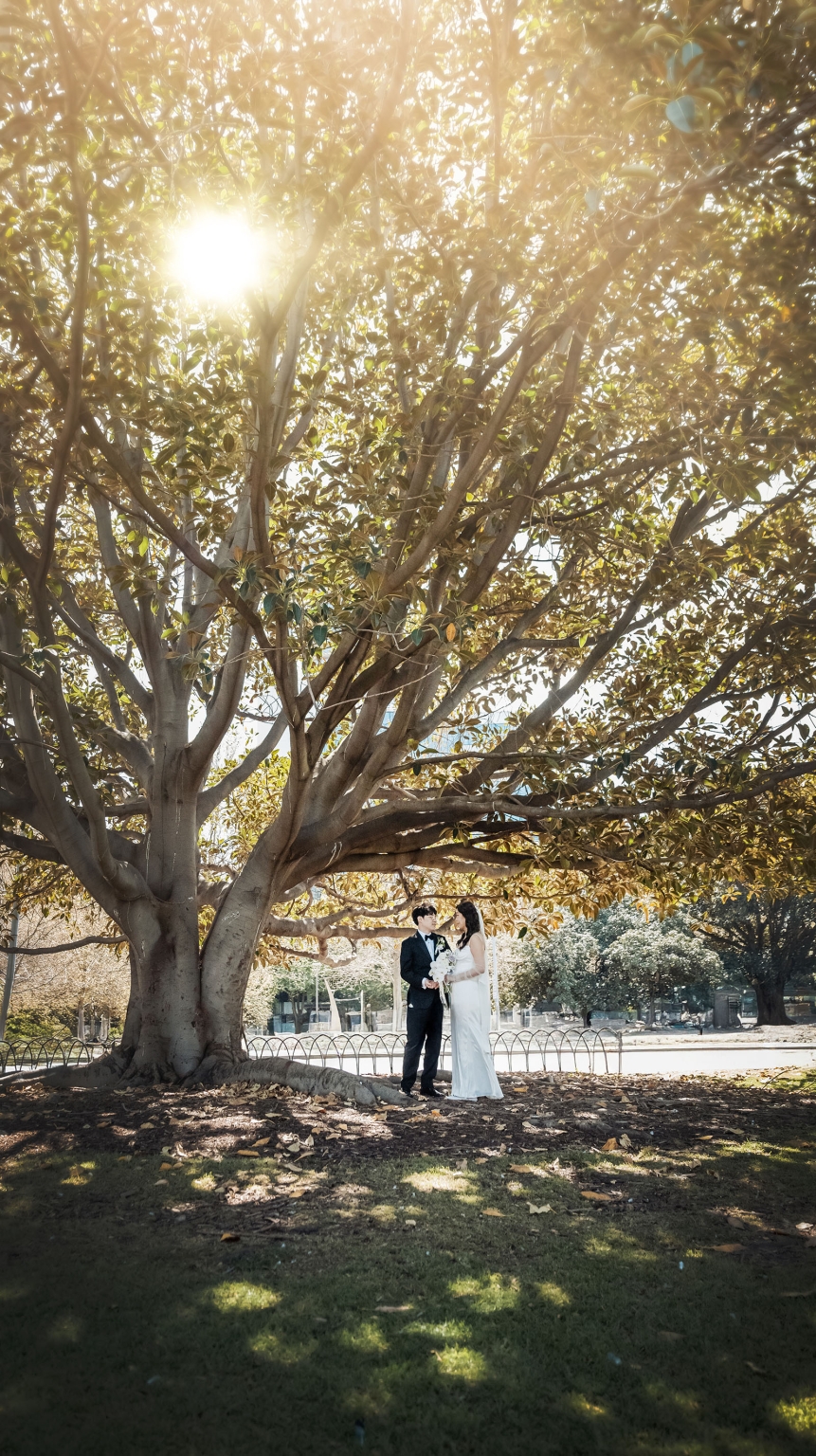 marriage rego office wedding – teri & thomas 25 Teri and Thomas standing beneath a large sunlit tree in wedding attire