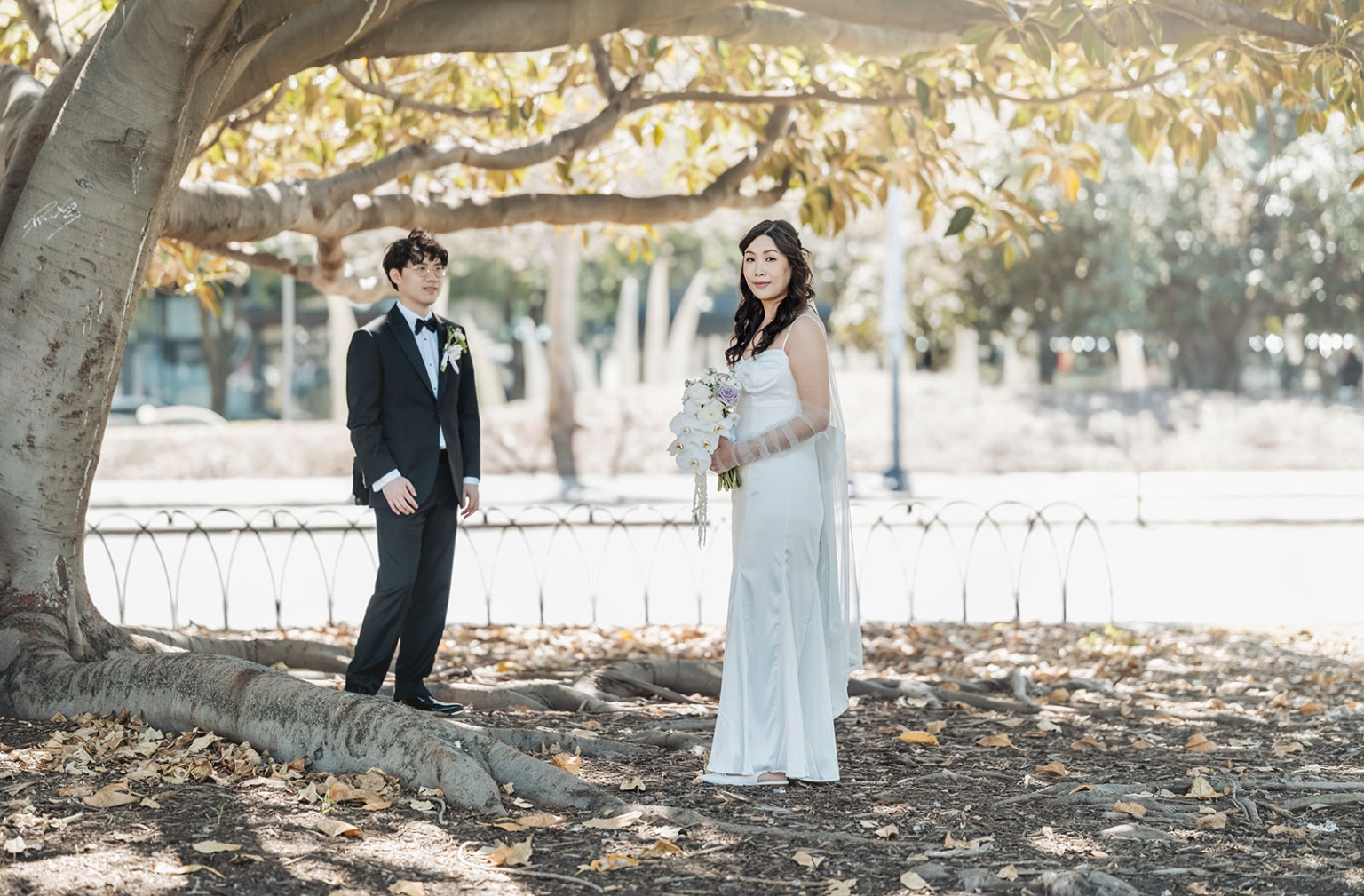 marriage rego office wedding – teri & thomas 24 Bride holding a white and lavender bouquet stands beneath a large tree while the groom in a black tuxedo stands behind her.