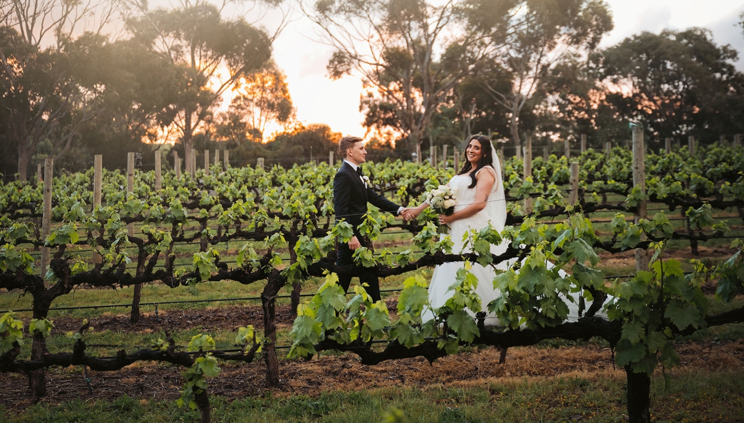 beach road winery wedding – alysha & nik 33 Alysha and Nik holding hands between vineyard rows at sunset, with Alysha holding her bouquet in a white wedding dress.