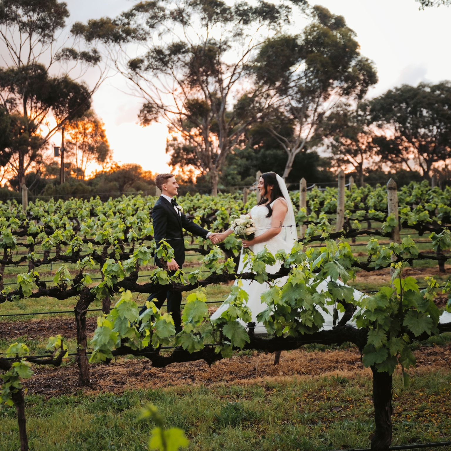 beach road winery wedding – alysha & nik 32 Alysha and Nik hold hands between vineyard rows at sunset, with Alysha in a white wedding gown and Nik in a black suit.