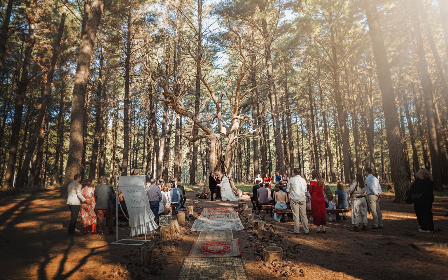 burbrook wedding – amber & angus | kuitpo forest wedding 28 Amber and Angus exchanging vows beneath tall trees as wedding guests gather along a rug-lined aisle in Kuitpo Forest