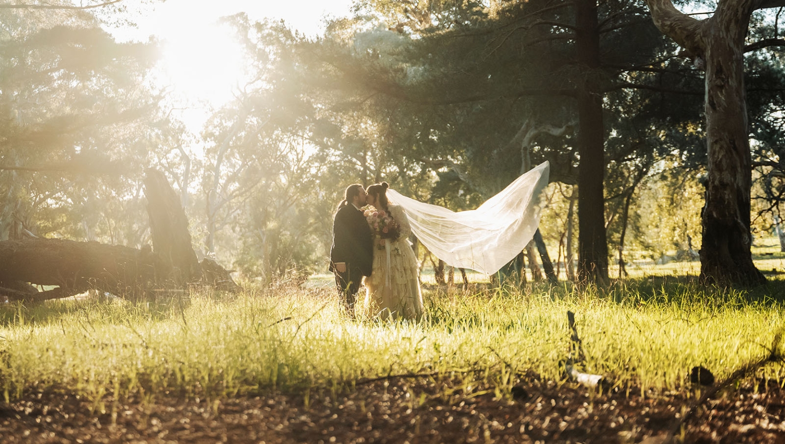burbrook wedding – amber & angus | kuitpo forest wedding 47 Amber and Angus kissing in sunlit Kuitpo Forest, with the bride's long veil lifted in the breeze.