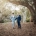 Brad and Manuel standing together in tailored suits beneath a large eucalyptus tree in a leafy park