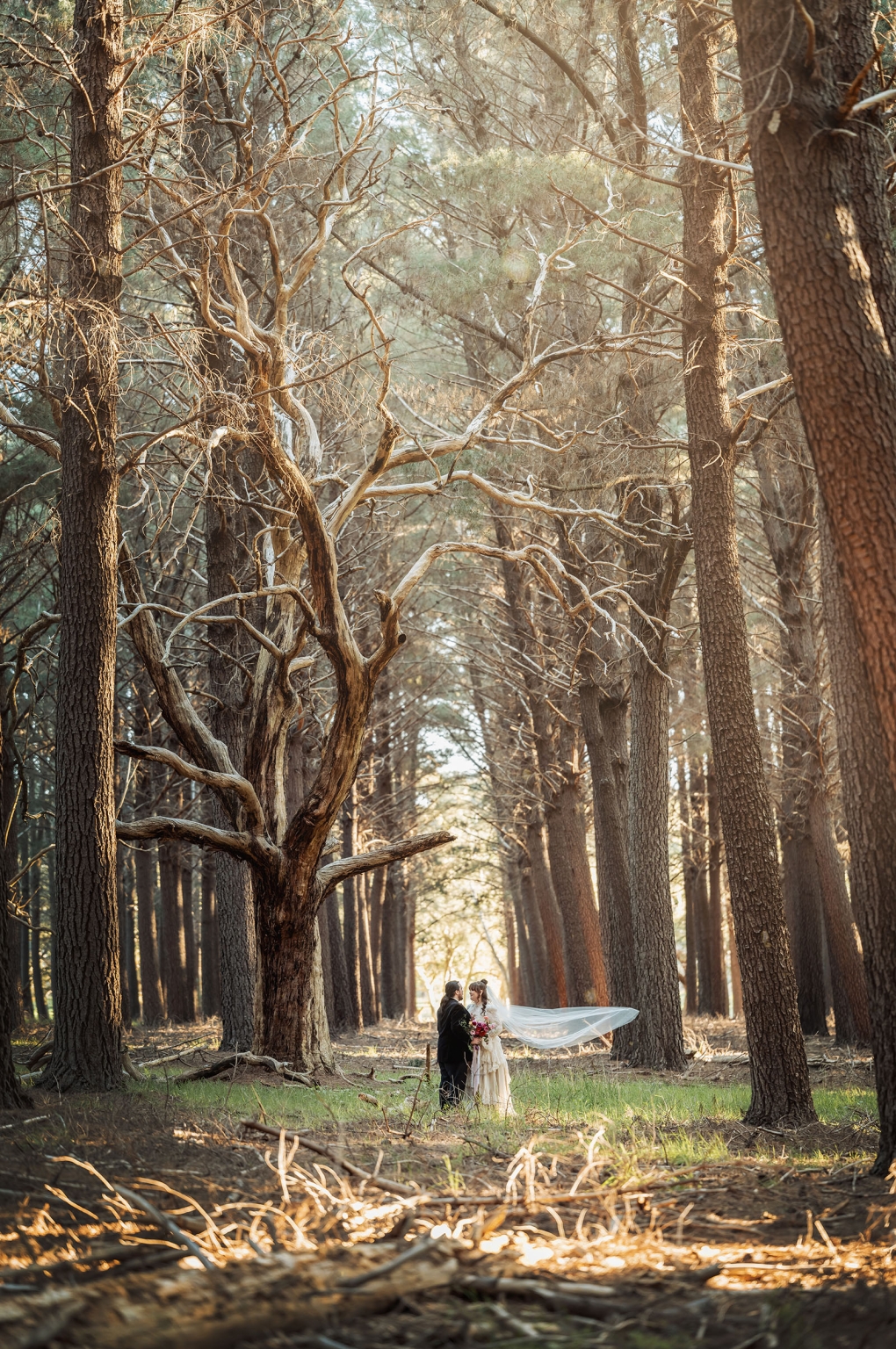 burbrook wedding – amber & angus | kuitpo forest wedding 41 Bride and groom standing beneath tall trees in Burbrook Forest, with the bride’s veil flowing behind her