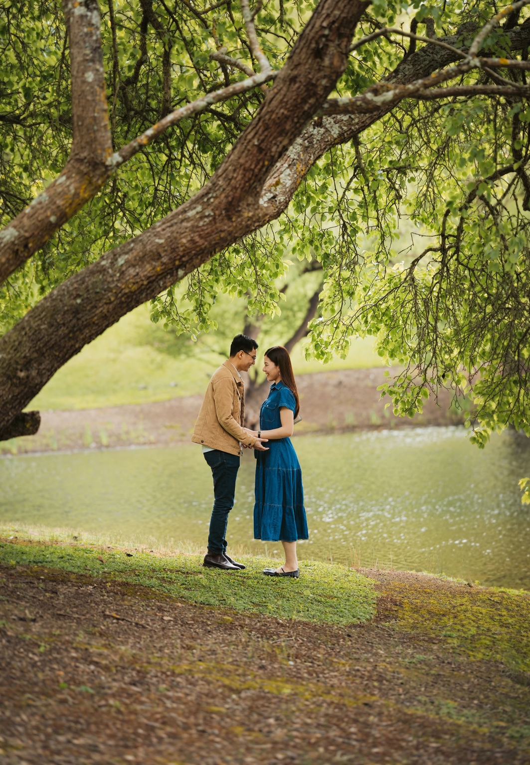 mt lofty botanic park proposal – watay & phouthun 7 Watay and Phouthun holding hands beneath a leafy tree beside a pond at Mount Lofty Botanic Garden