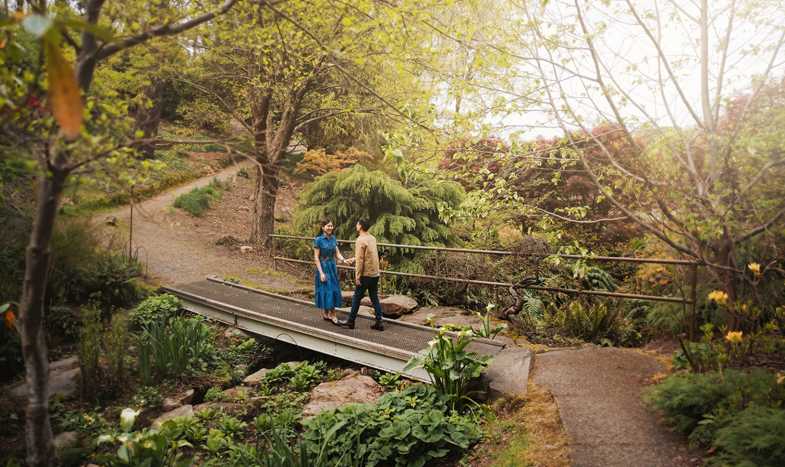 mt lofty botanic park proposal – watay & phouthun 18 Watay and Phouthun holding hands as they cross a small footbridge among lush trees and garden plants at Mount Lofty Botanic Garden.