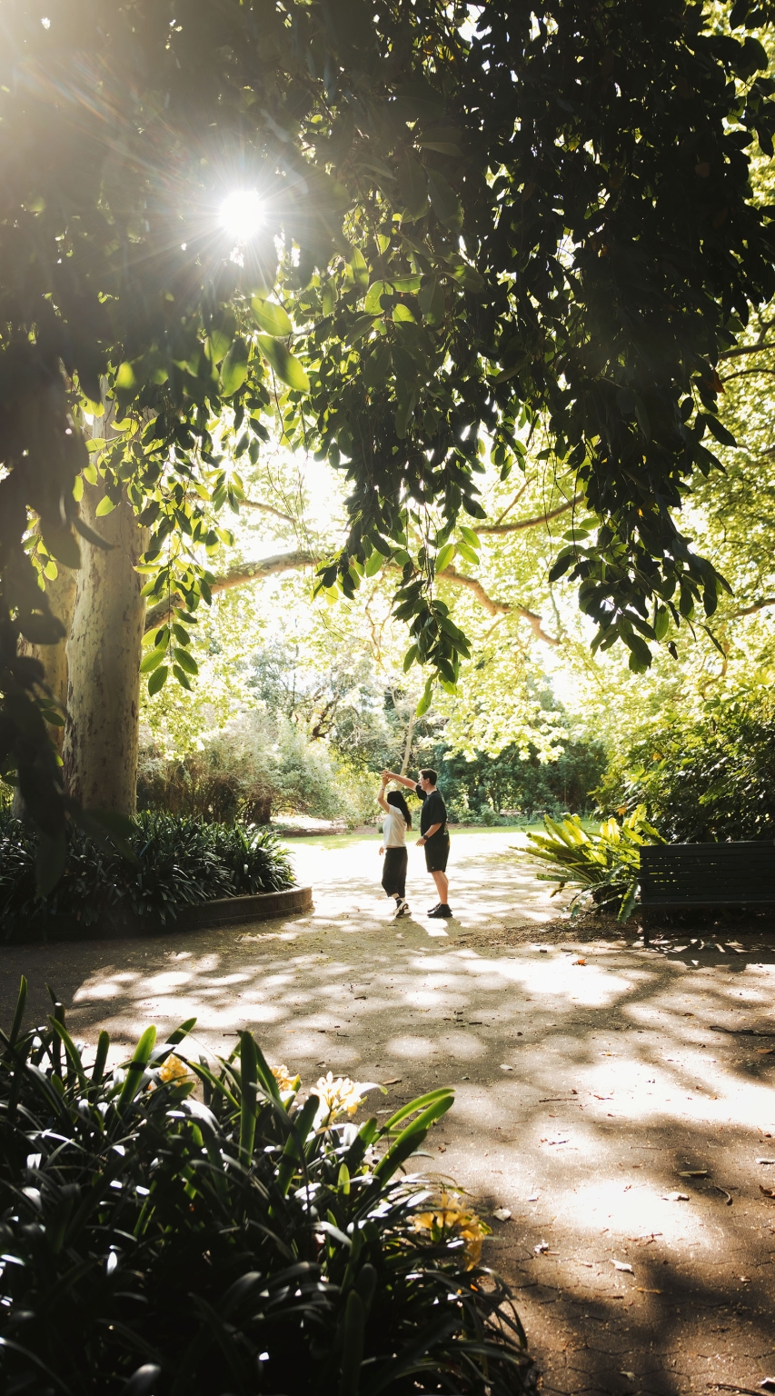 adelaide botanic gardens proposal – stewart & levi 18 Couple walking beneath sunlit trees on a garden path at Adelaide Botanic Gardens