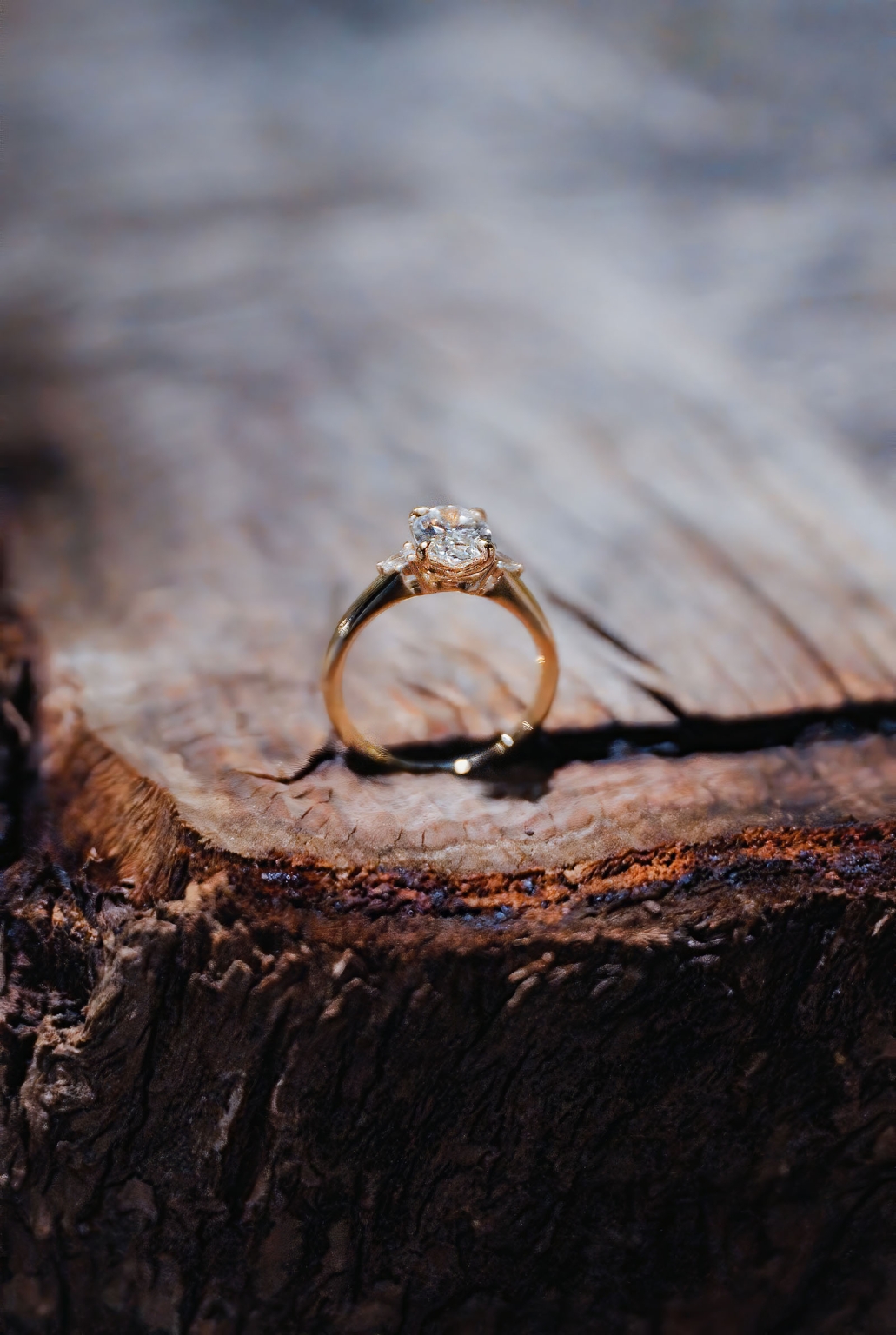 Diamond engagement ring standing on a weathered tree stump