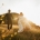 Ebony and Punit holding hands on a grassy hillside at sunset in Second Valley, with the coast behind them.