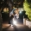 Kelly and Josh embracing on a stone-walled path at night, backlit by bright lights at Windy Point
