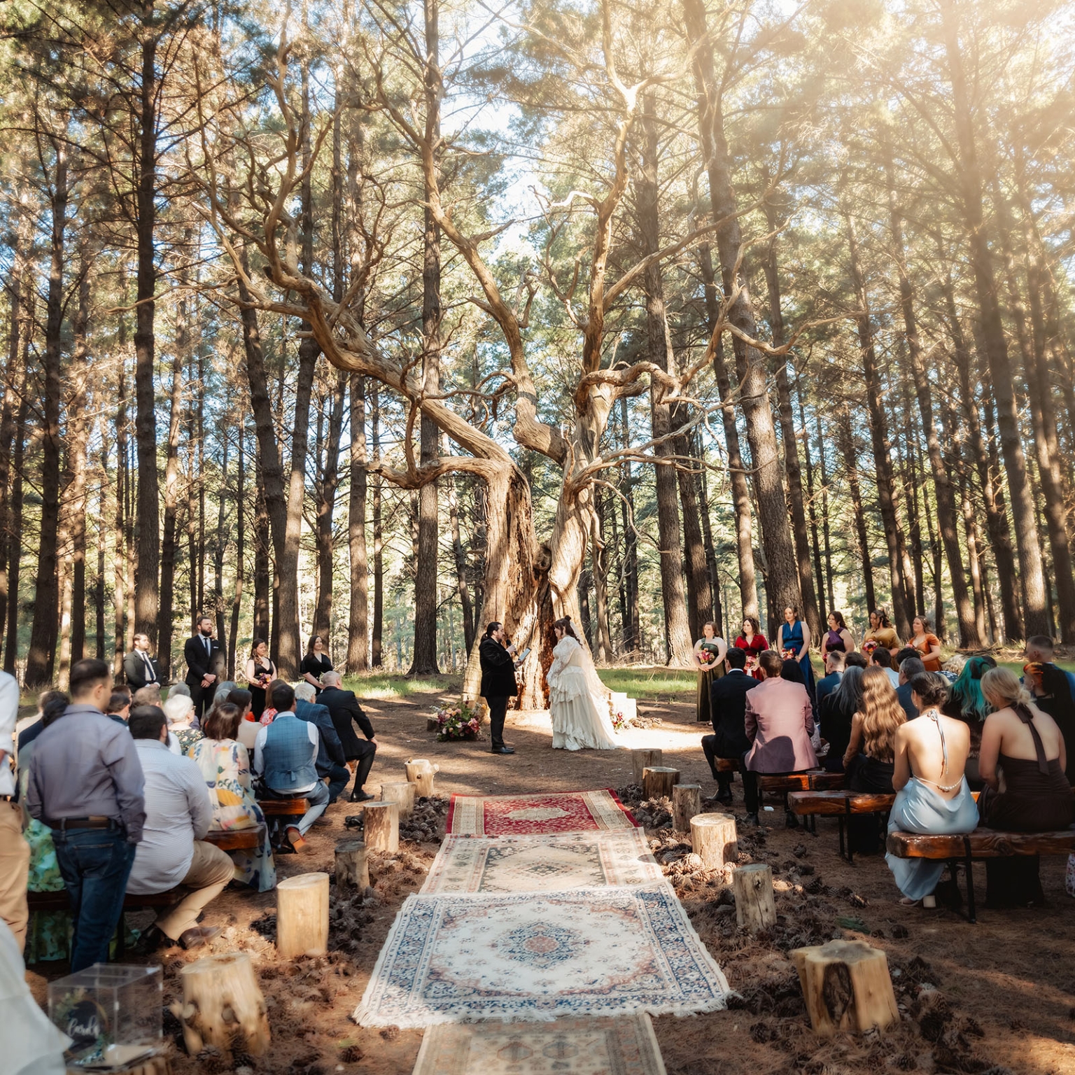 burbrook wedding – amber & angus | kuitpo forest wedding 30 Amber and Angus exchange vows beneath a large twisted tree during their forest wedding ceremony, with guests seated along a rug-lined aisle.