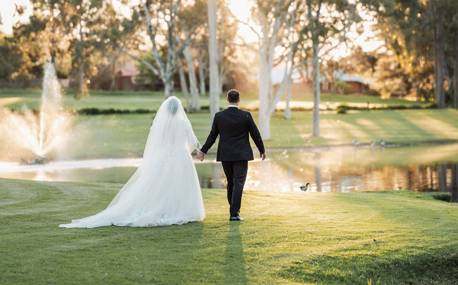 serafino winery wedding – maor & sasha 49 Bride and groom holding hands beside a pond and fountain at Serafino Winery in warm evening light