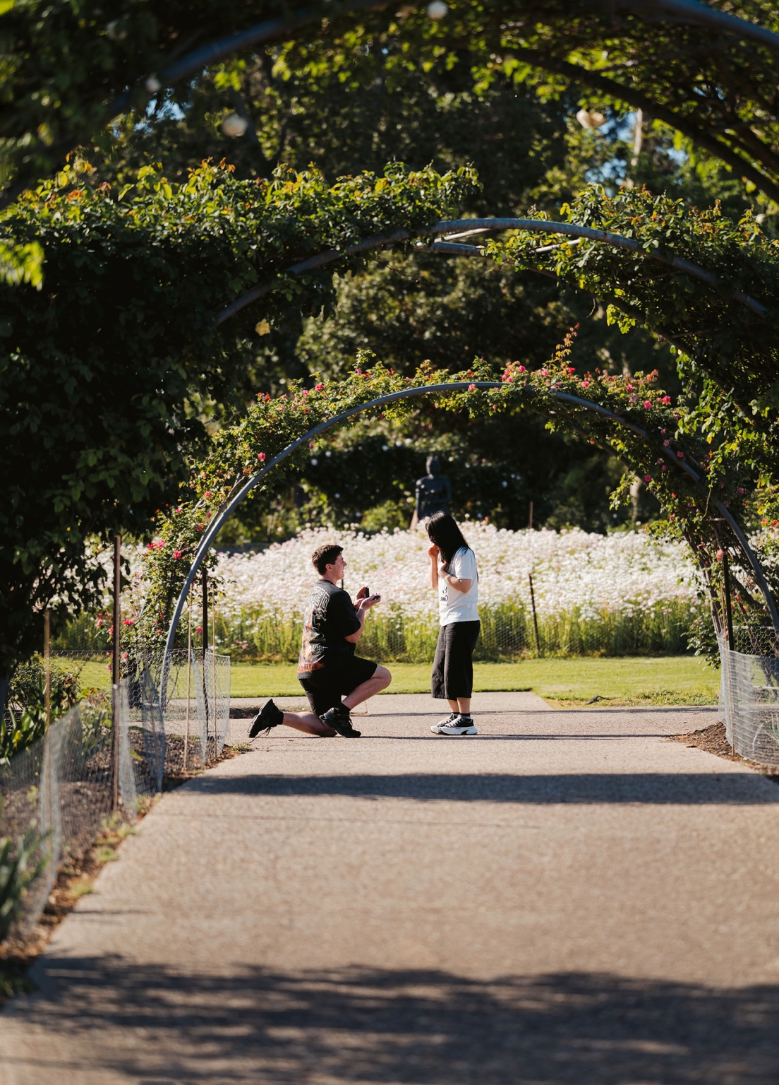 adelaide botanic gardens proposal – stewart & levi 1 Stewart kneeling to propose to Levi beneath rose-covered arches at Adelaide Botanic Gardens