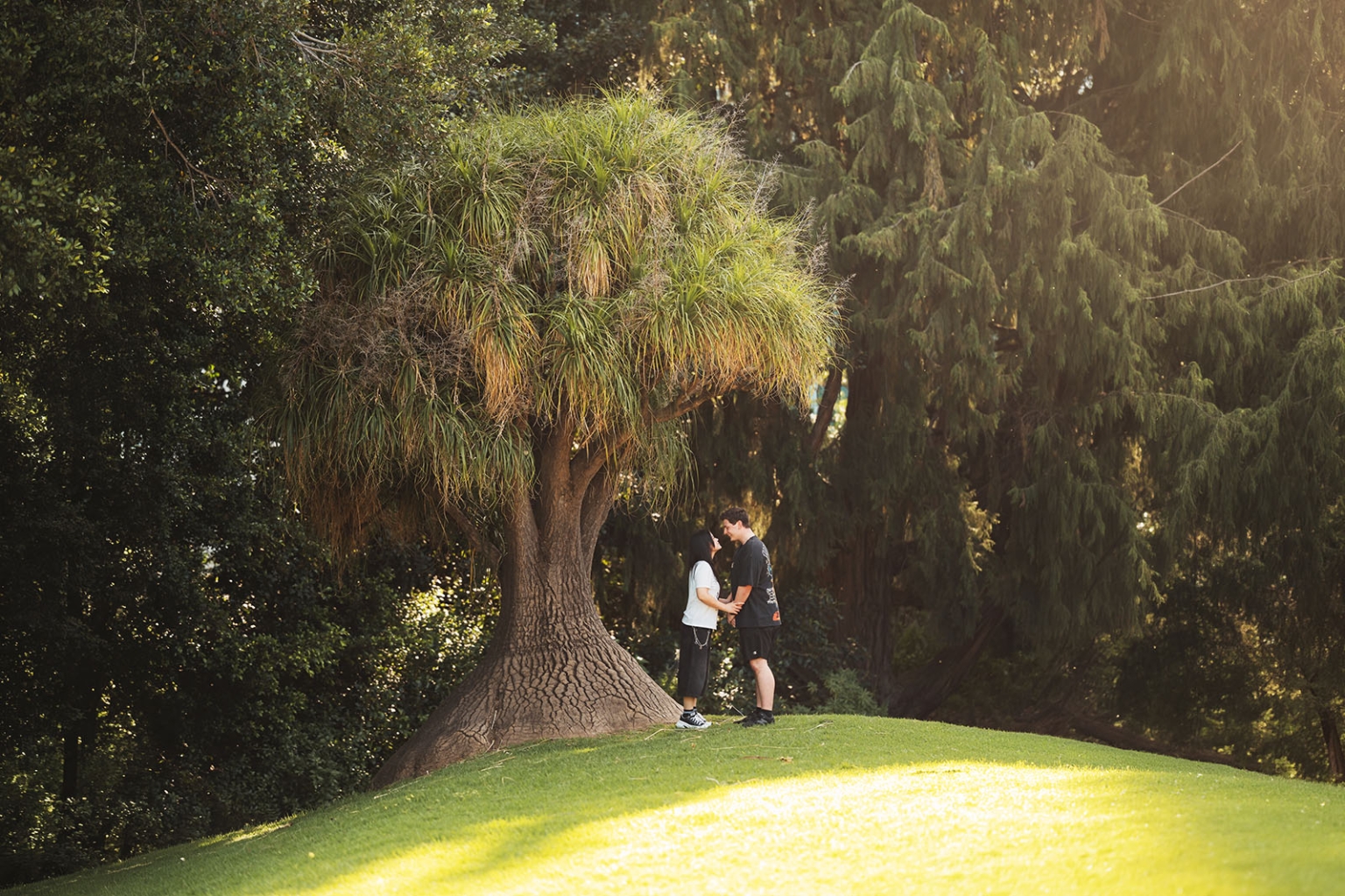 adelaide botanic gardens proposal – stewart & levi 19 Stewart and Levi standing together beneath a large tree on a sunlit lawn at Adelaide Botanic Gardens