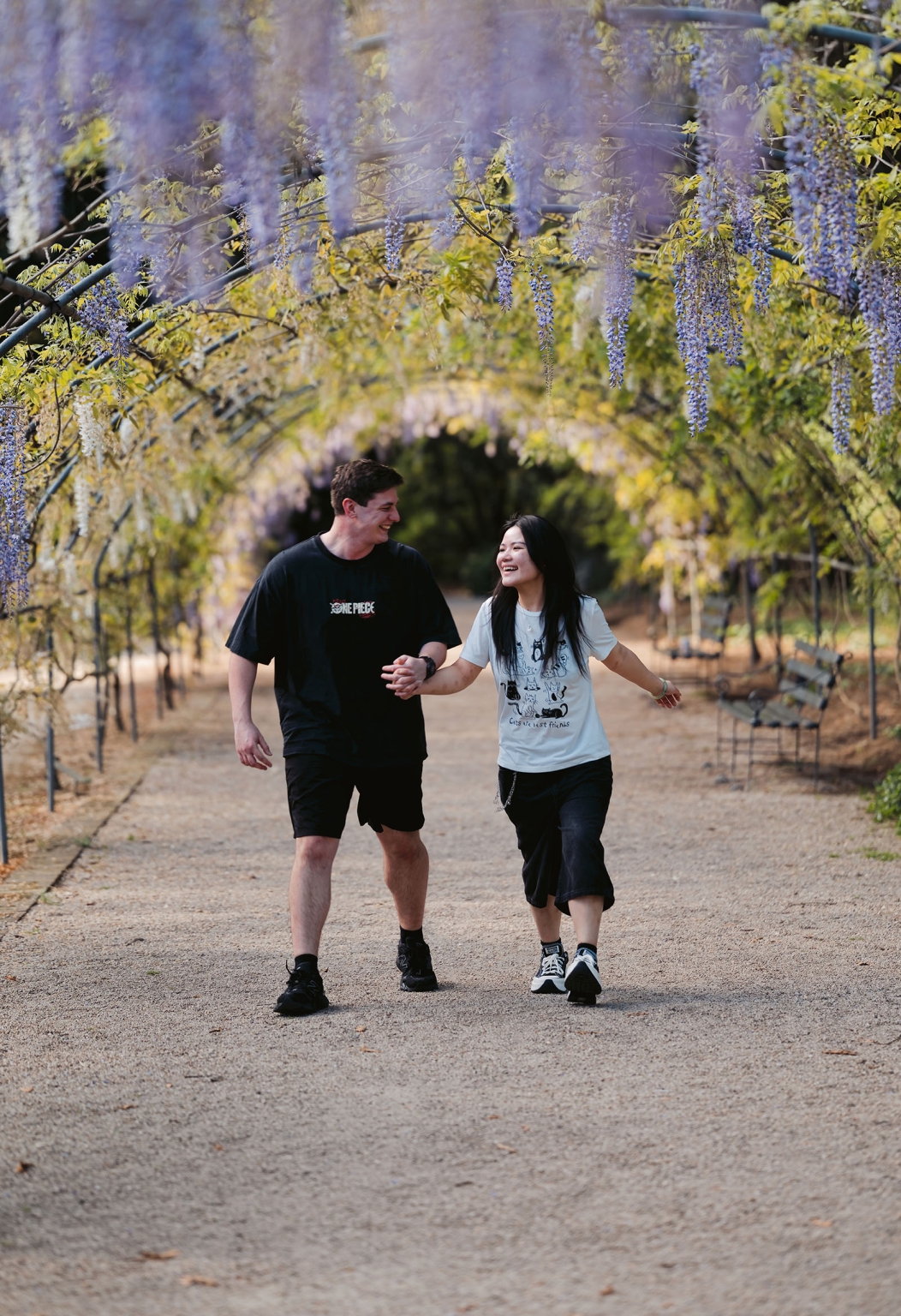adelaide botanic gardens proposal – stewart & levi 12 Stewart and Levi walking hand in hand beneath hanging purple wisteria at Adelaide Botanic Gardens